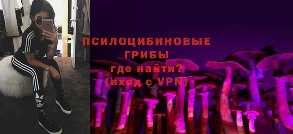герыч Алексин